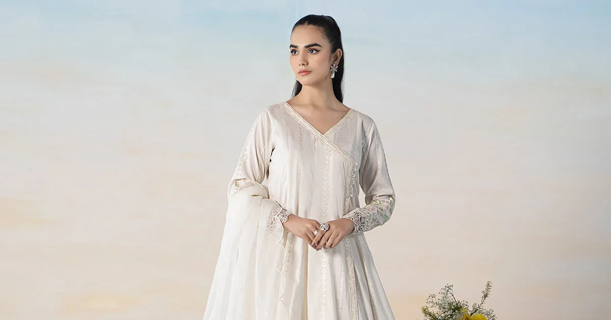 3 Piece Embroidered Lawn Suit | DW-EF24-49