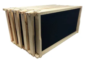 9 1/8" Assembled Deep Wood Frame, Black Foundation - 10 pack - TRIPLE WAX